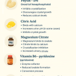 Five Ingredients That Help Prevent Kidney Stones
