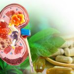The Best Time to Start a Kidney Stone Supplement